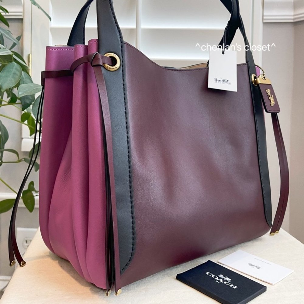 🔥NeW! Coach Harmony Colorblock Hobo - Picture 5 of 16